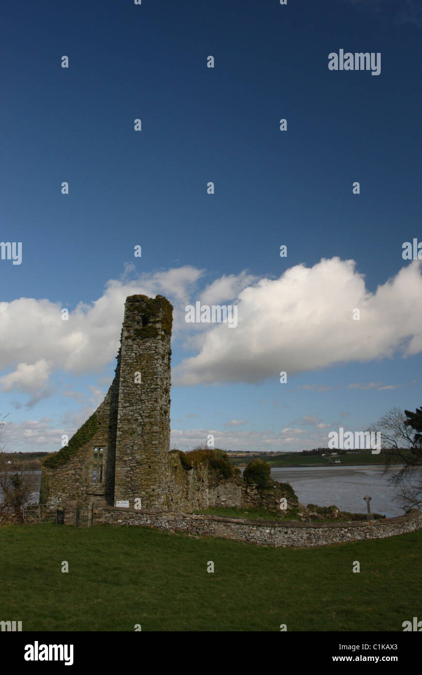 Rovinato Abbey, Timoleague, County Cork, Irlanda. Foto Stock