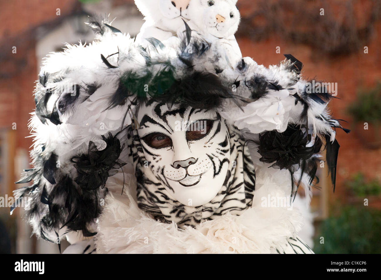 Masqueraders in costume, il Carnevale di Venezia, Venezia Italia Foto Stock