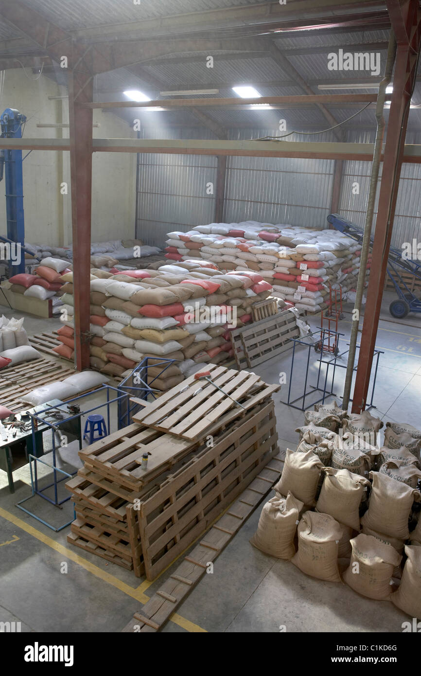 Cofeco S.A. Dry mill, dipartimento di Huehuetenango, Guatemala Foto Stock