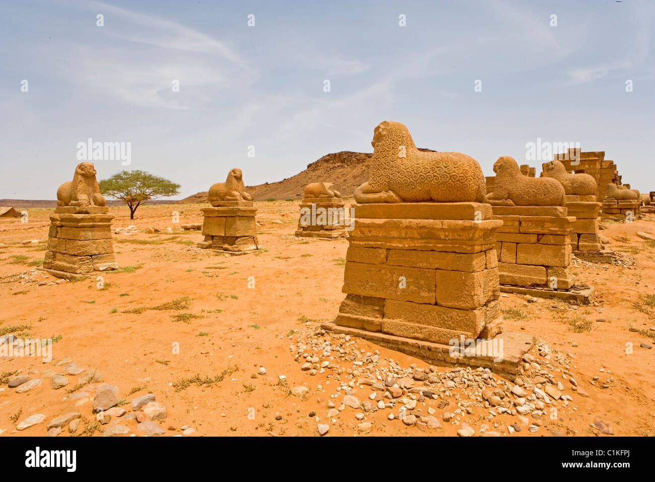 Sudan tempio consacrato al dio Amon rivestito da montoni in Naga resti della civiltà meroitic alta Nubia Nahr-un-nil provincia Foto Stock