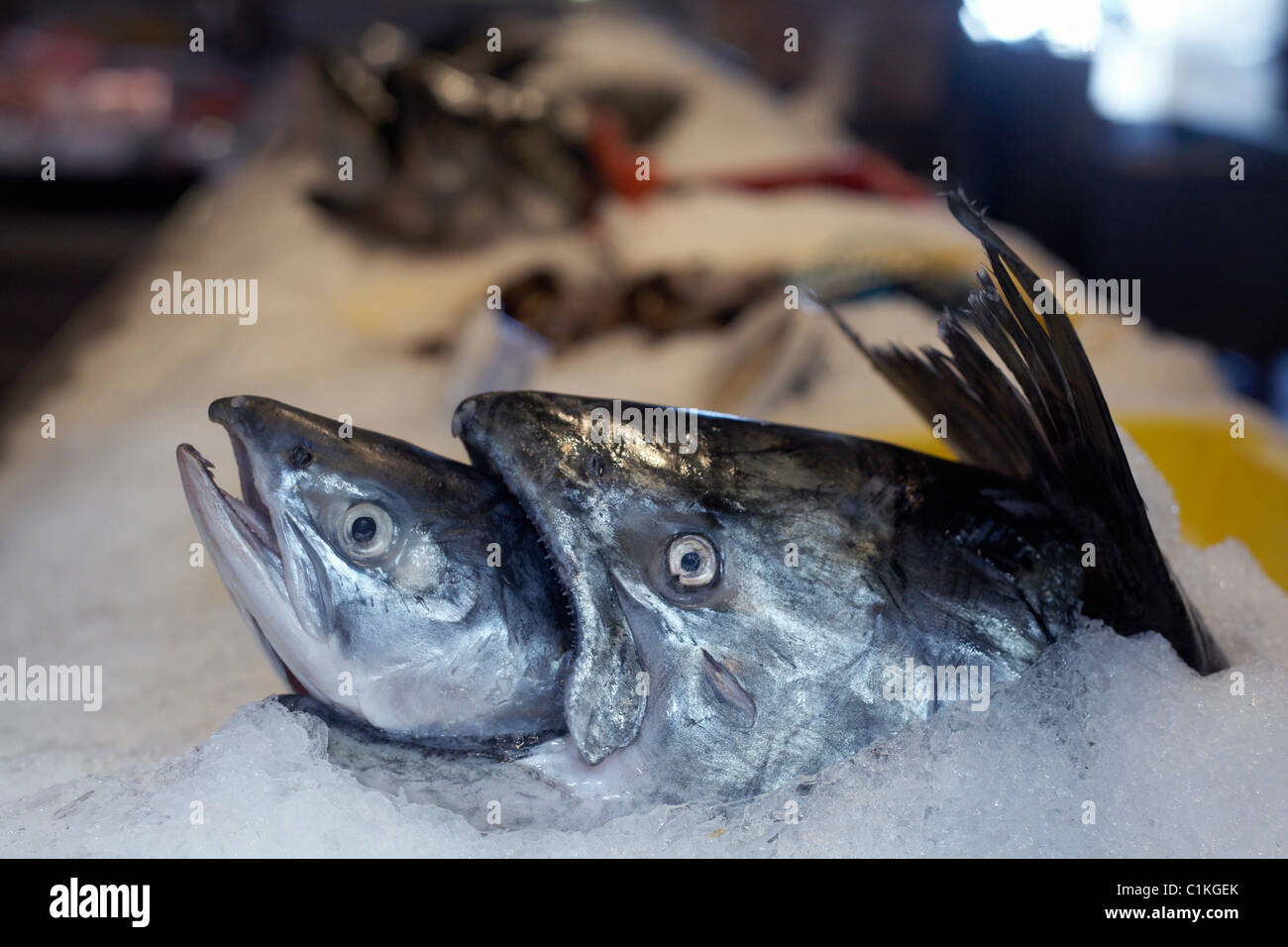 Il pesce per la vendita al mercato, Granville Island, Vancouver, British Columbia, Canada Foto Stock