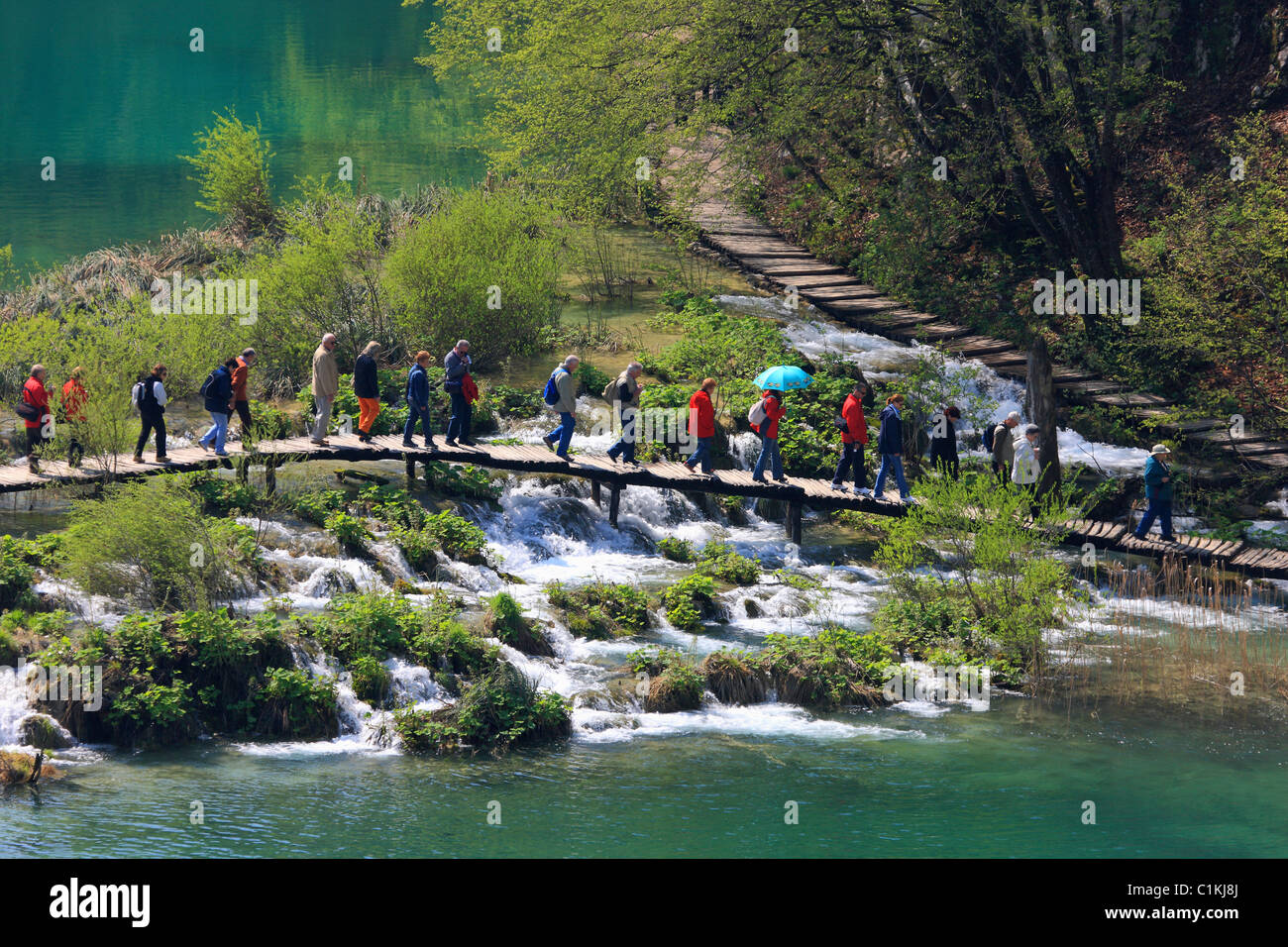 I laghi di Plitvice, Parco Nazionale Foto Stock