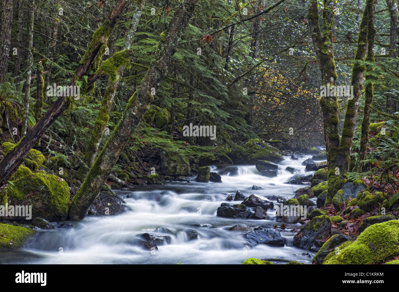Fiume in British Columbia Foto Stock