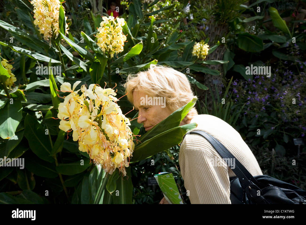 Donna / persone / persona / visitatore / turistico / Odorare un fiore / profuma di fiori in serra a RHS Wisley. Surrey. Regno Unito. Foto Stock