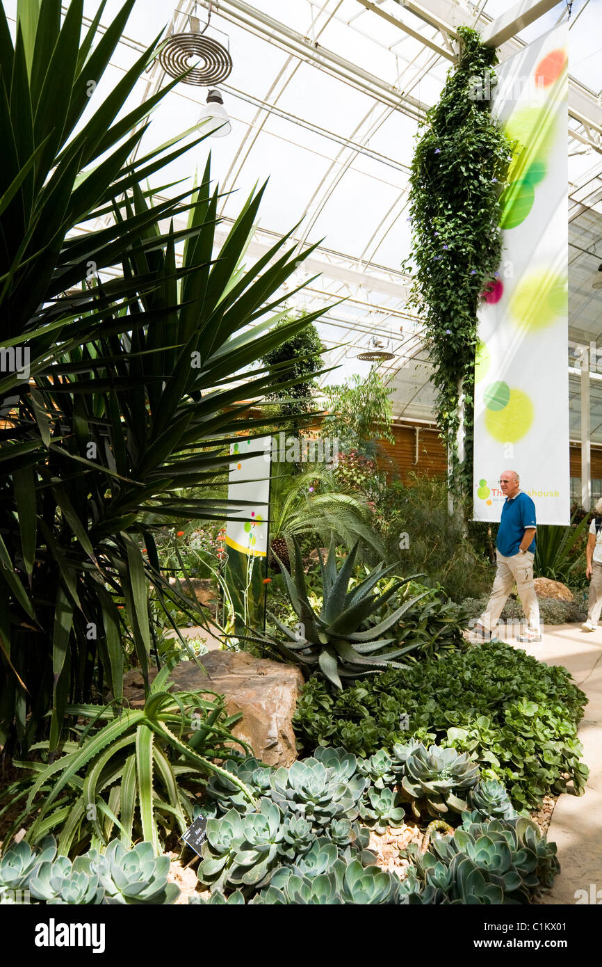 Asciugare la zona temperata all'interno della serra presso la sede centrale di RHS / HQ at Wisley. Surrey. Regno Unito. Foto Stock