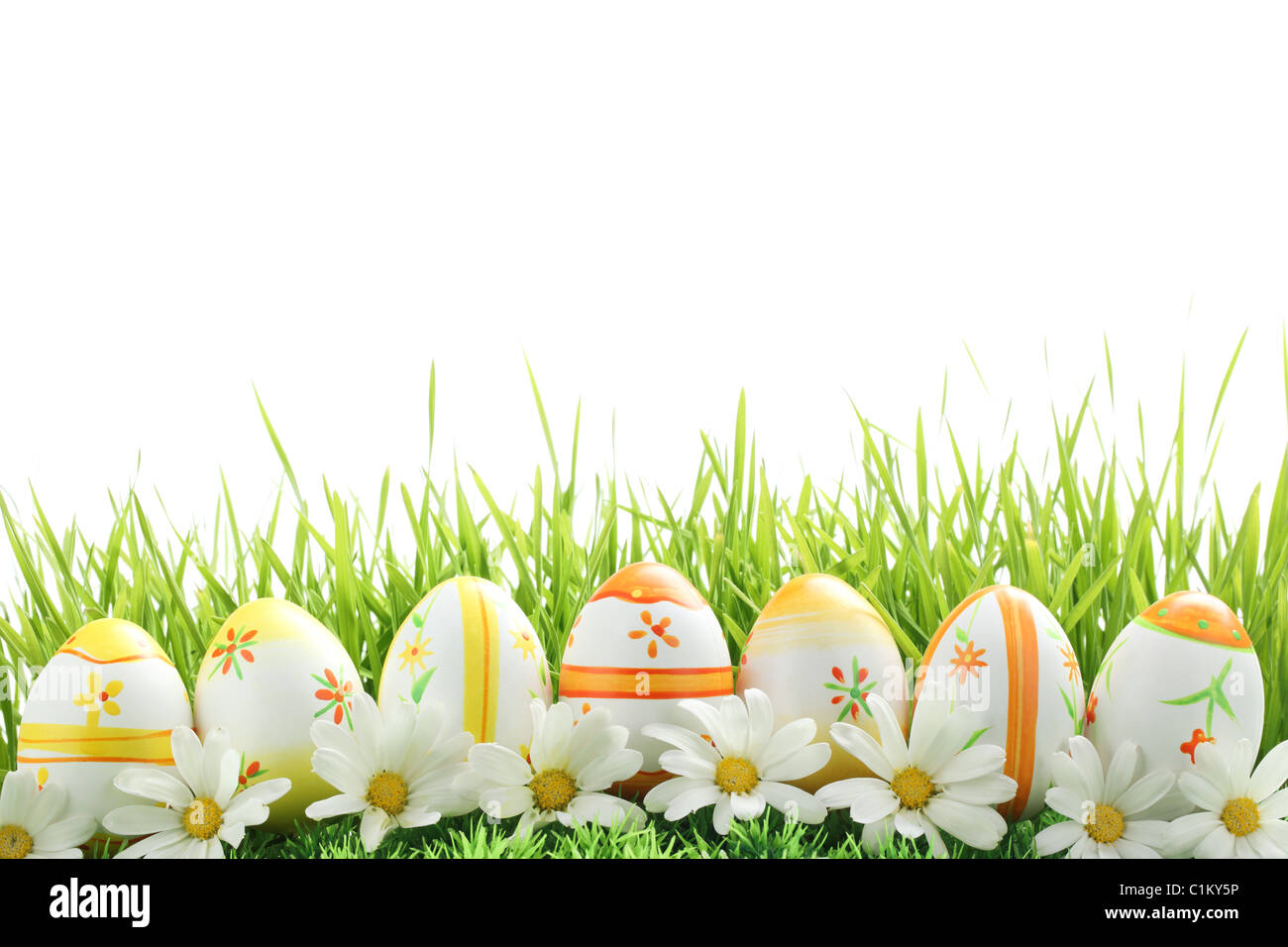 Fila di uova di Pasqua con la margherita sul fresco verde erba Foto Stock