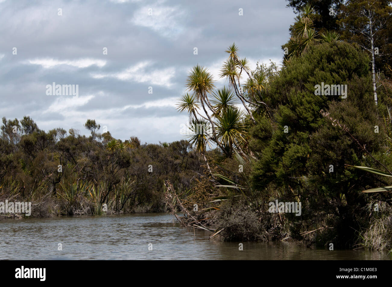 Okarito Laguna è la più grande zona umida non modificati in Nuova Zelanda. Die Okarito-Lagune ist das größte Feuchtgebiet Neuseelands Foto Stock