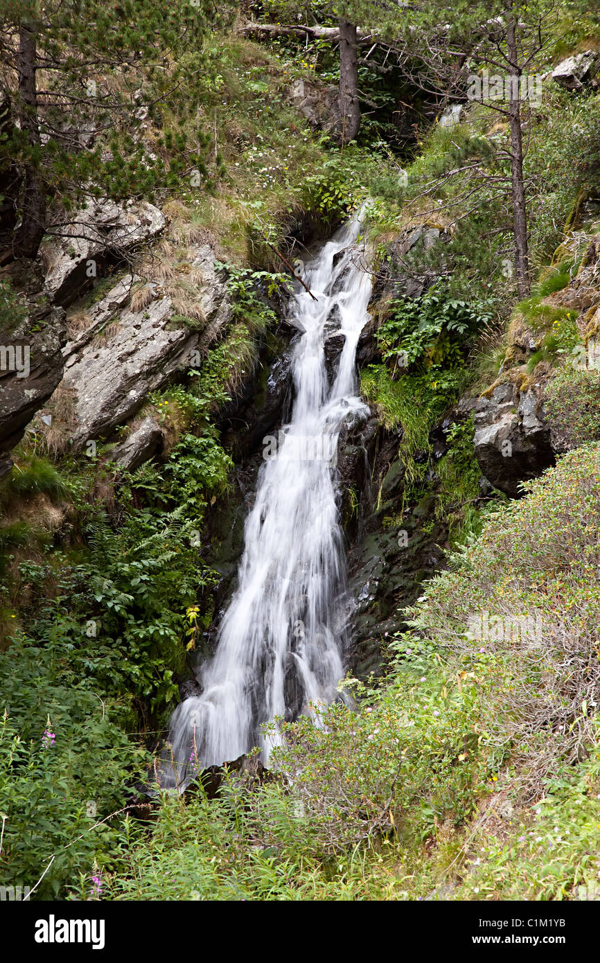 Ruscello di montagna Bordes de la Peguera regione Andorra Foto Stock