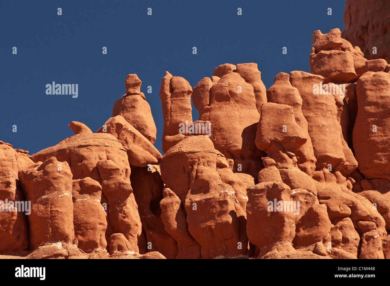 Pietra arenaria rossa hoodoos presso Baby rocce Mesa vicino a Kayenta, Colorado Plateau, Arizona, Stati Uniti d'America Foto Stock