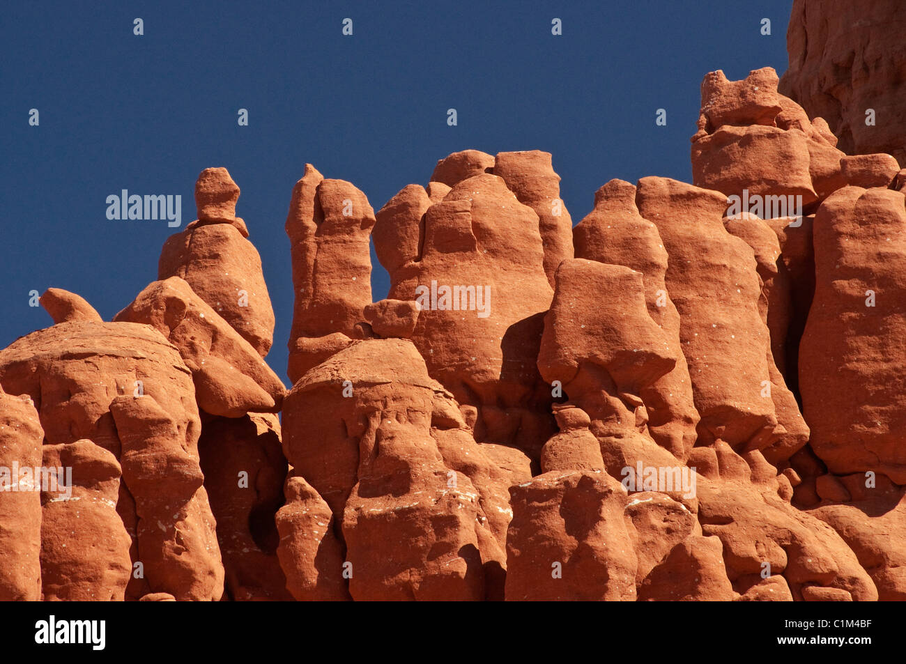 Pietra arenaria rossa hoodoos presso Baby rocce Mesa vicino a Kayenta, Colorado Plateau, Arizona, Stati Uniti d'America Foto Stock