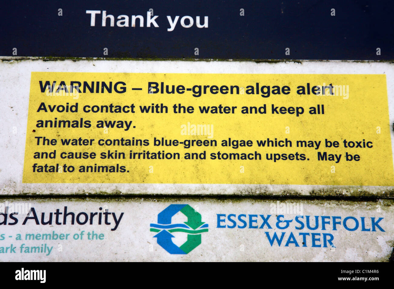 Alghe Blu-verdi simbolo di avvertimento in corrispondenza di un ampio in Norfolk. Foto Stock