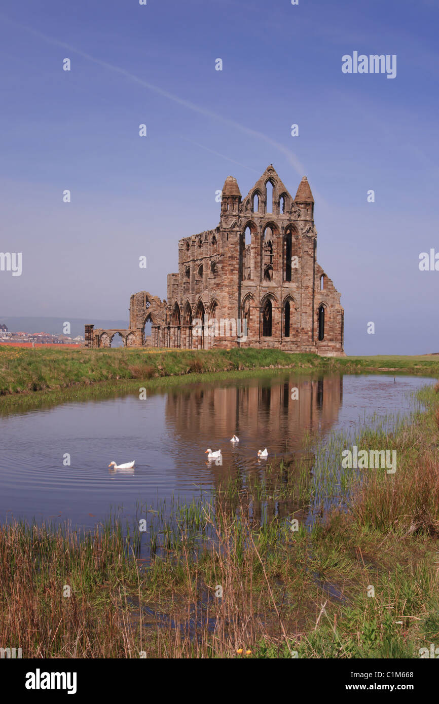 Whitby Abbey, rovine gotiche sul nord della costa dello Yorkshire, Inghilterra. Foto Stock