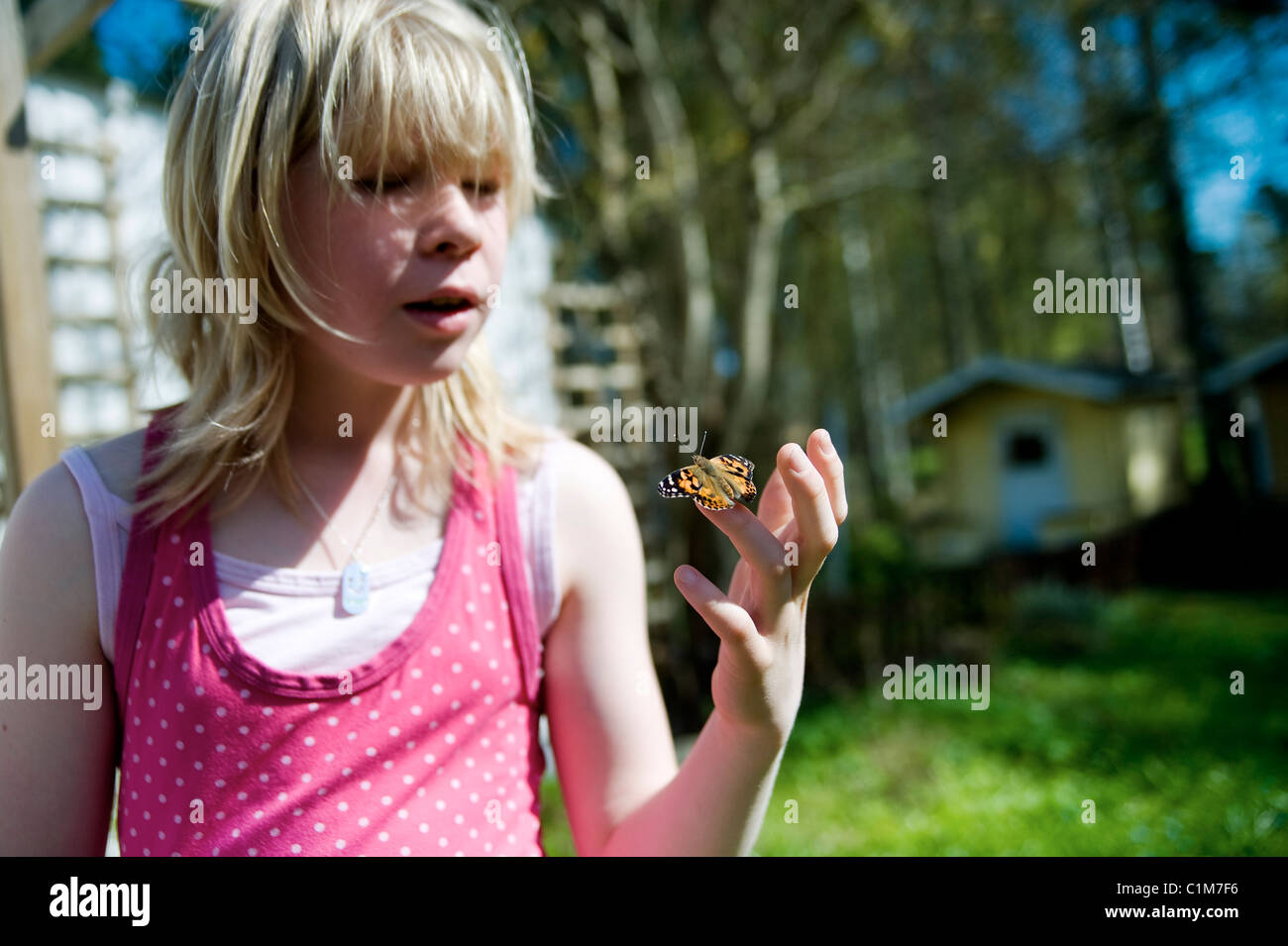 Allevamento di farfalle Foto Stock