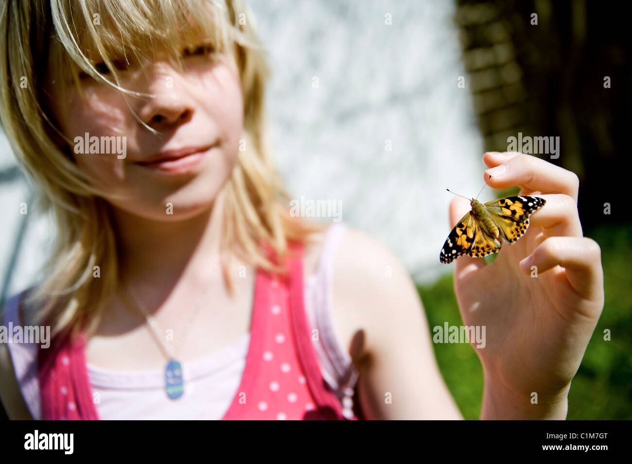 Allevamento di farfalle Foto Stock