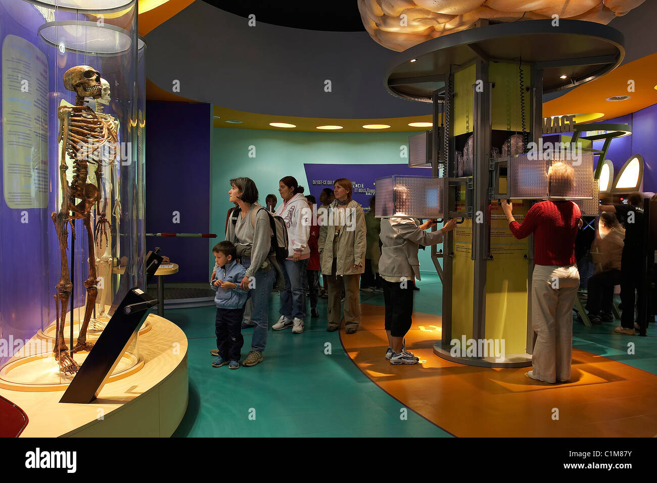 Francia, Charente Maritime, le Paleosite in Saint Cesaire, sala dei workshop interattivi Foto Stock