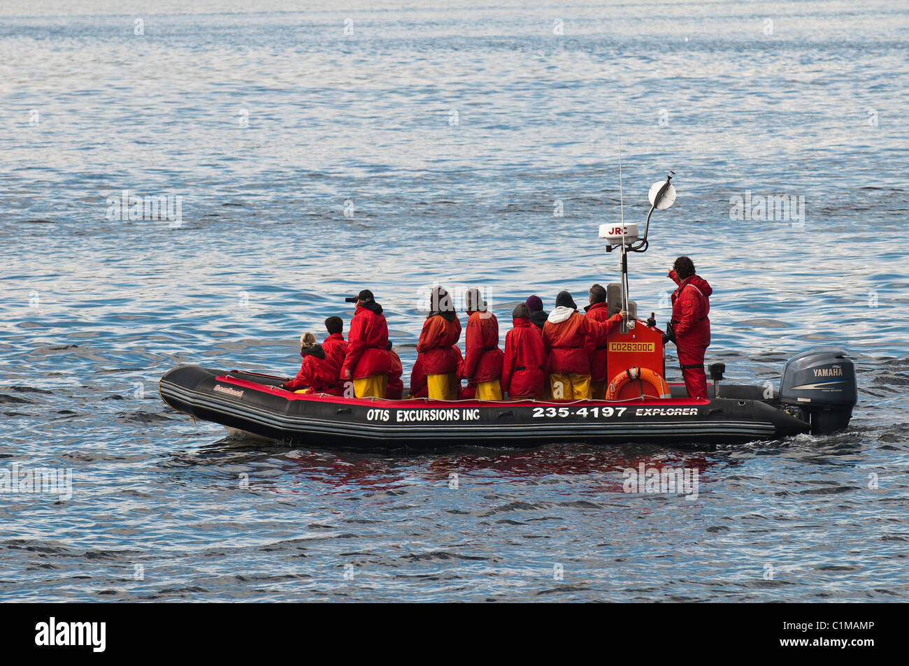 Avvistamento di balene a Saguenay St. Lawrence Marine Park vicino Tadoussac, Quebec, Canada. Foto Stock