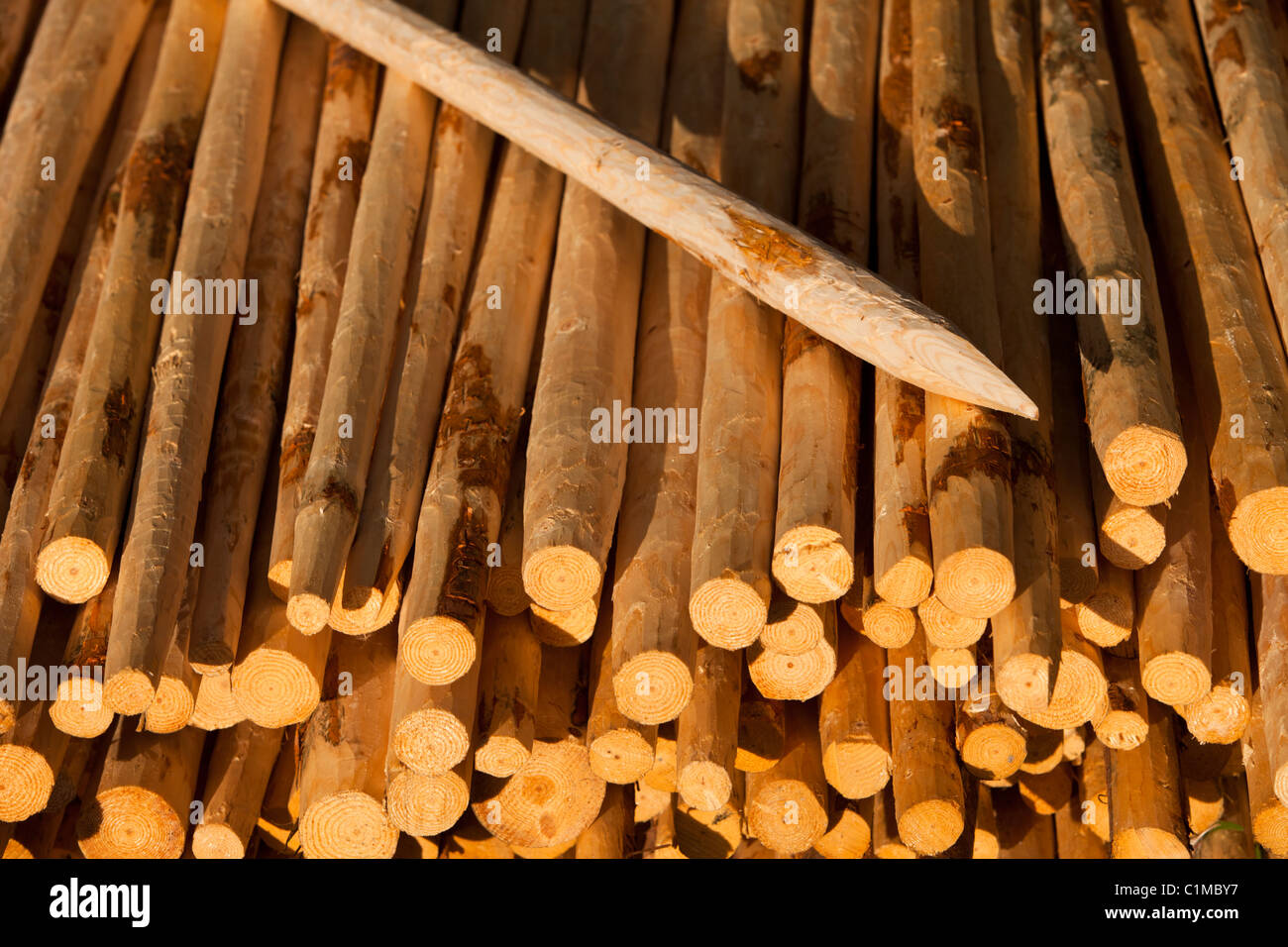 Pali di legno affilati usati per recinzioni , Finlandia Foto stock - Alamy