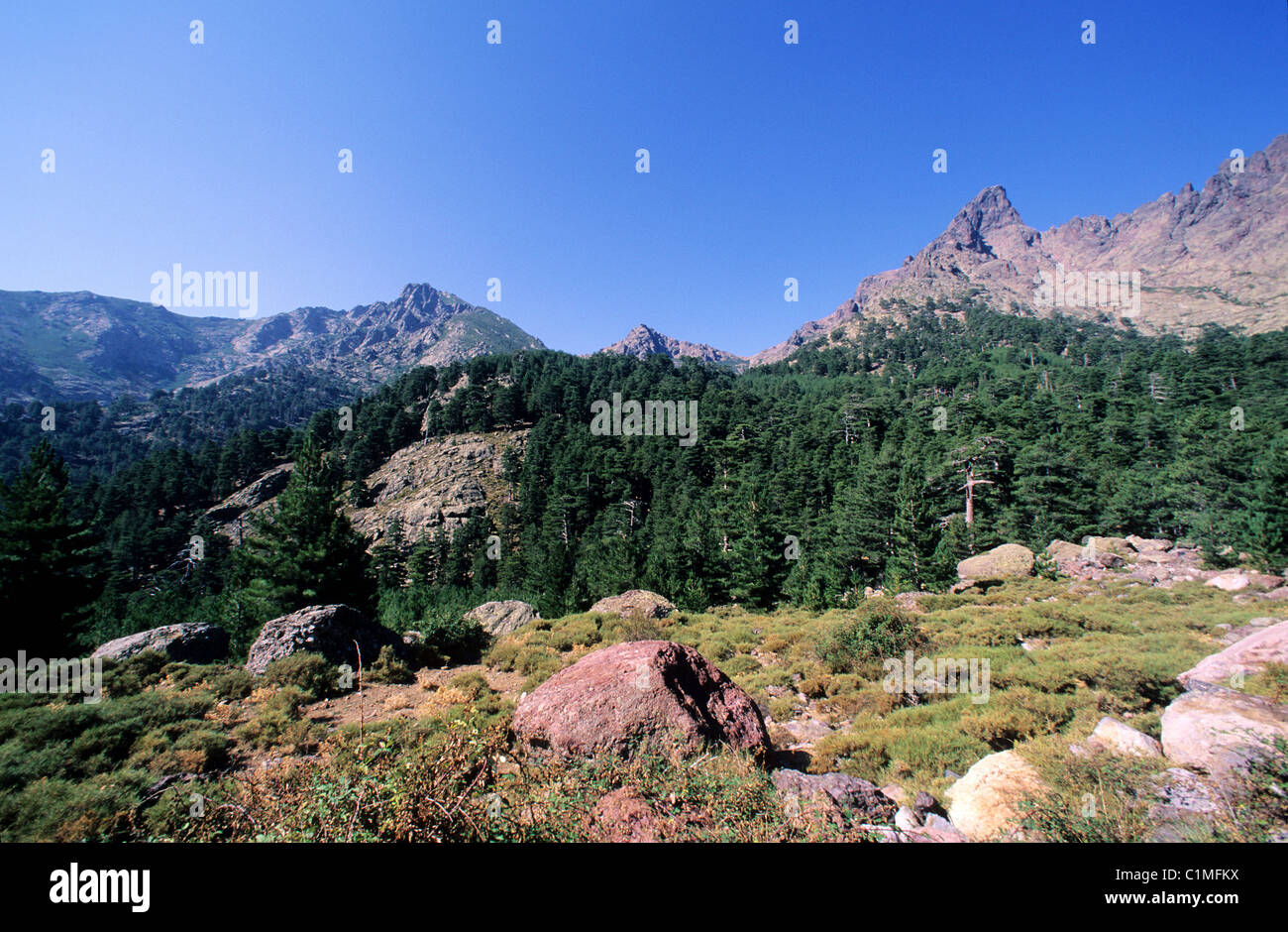 Francia, Haute Corse, Niolo regione bacino Calacucci, linea della Paglia Orba che domina la valle di Calasima Foto Stock