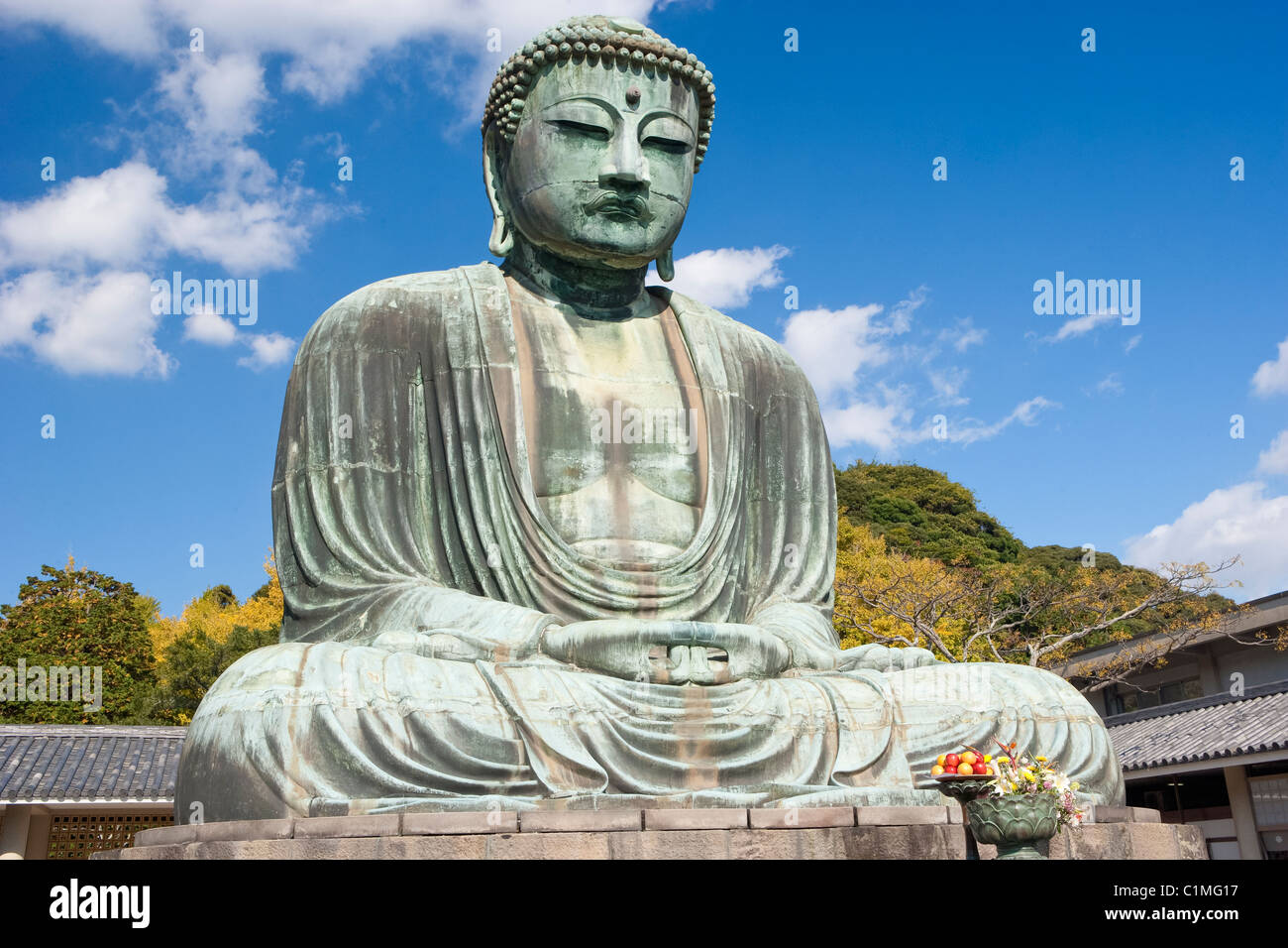 Daibutsu (grande Buddha di Kamakura, Giappone Foto Stock