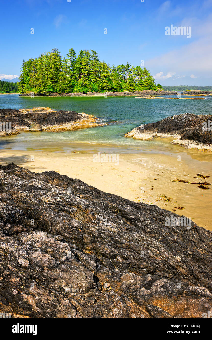 Vista dalla lunga spiaggia in Pacific Rim National Park, Canada Foto Stock