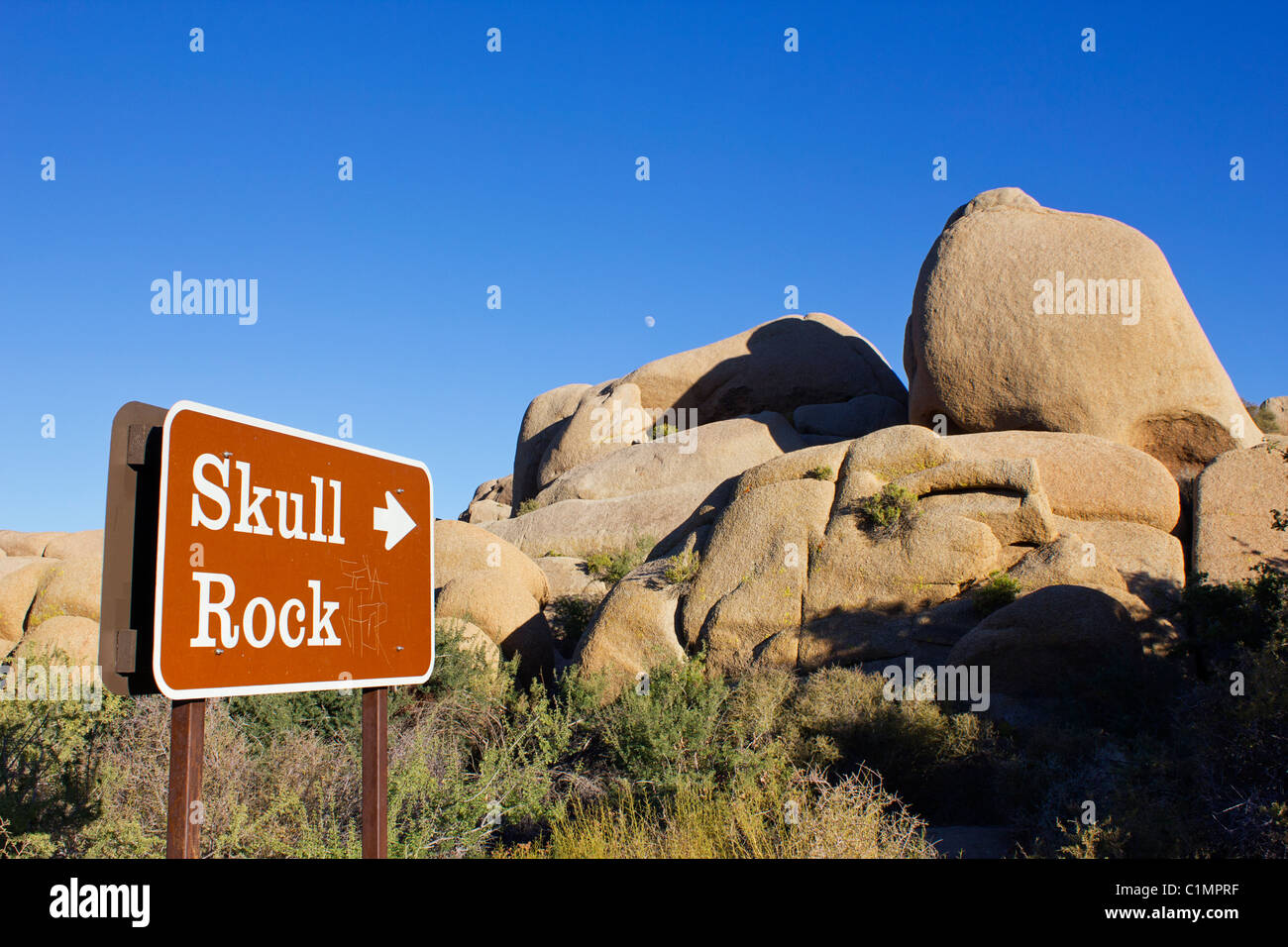 Cranio Rock a Joshua Tree National Forest Foto Stock