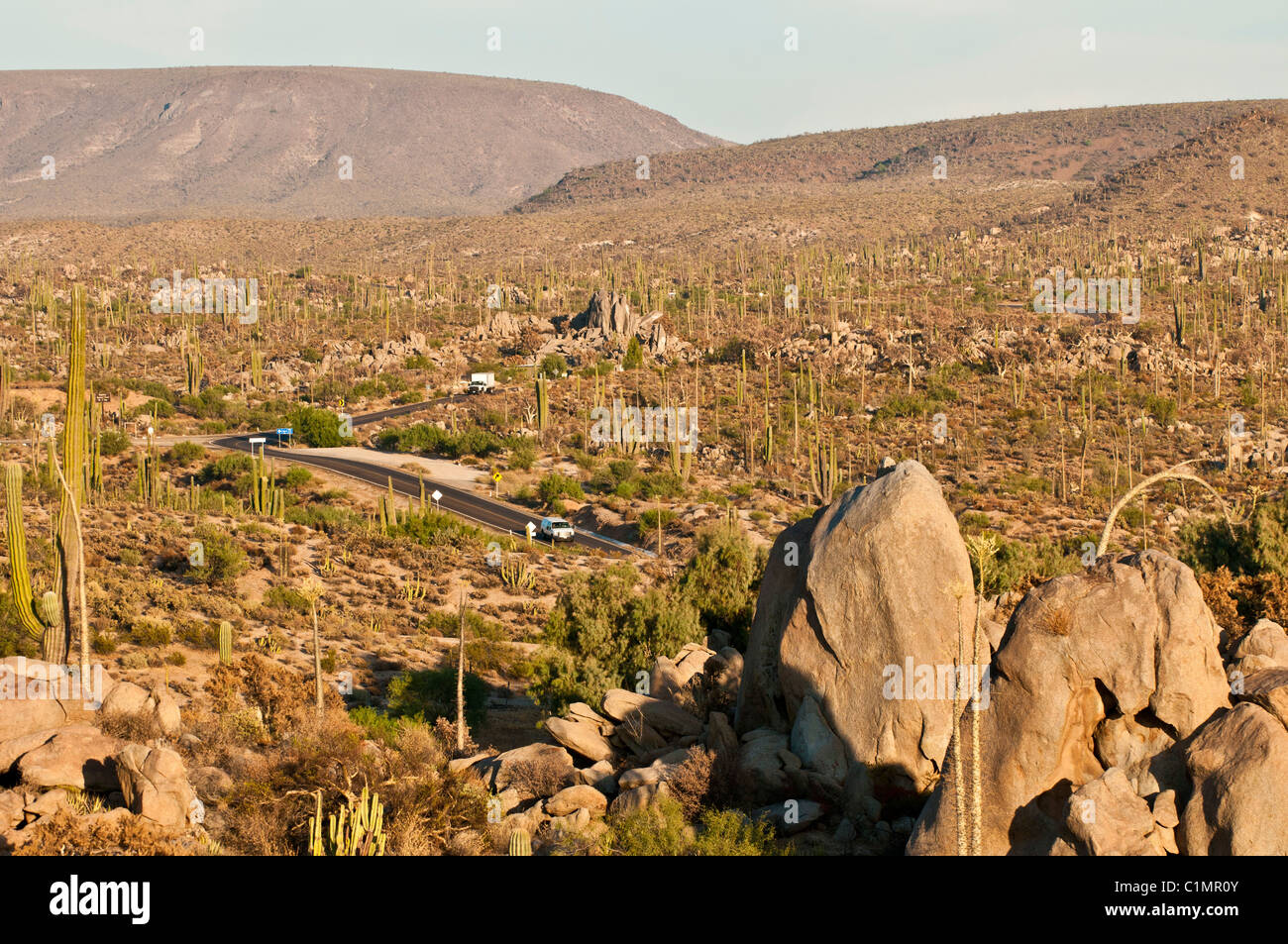 Messico Highway 1 avvolgimento attraverso il Deserto di Sonora, Baja California, Messico Foto Stock