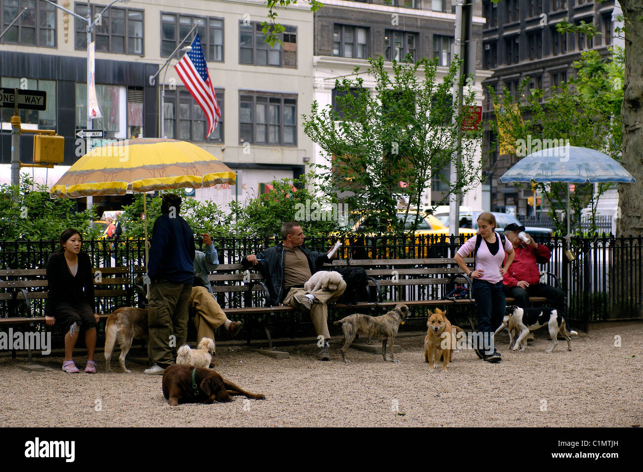 Stati Uniti, New York City, Manhattan, quadrato per cani a Union Square Foto Stock