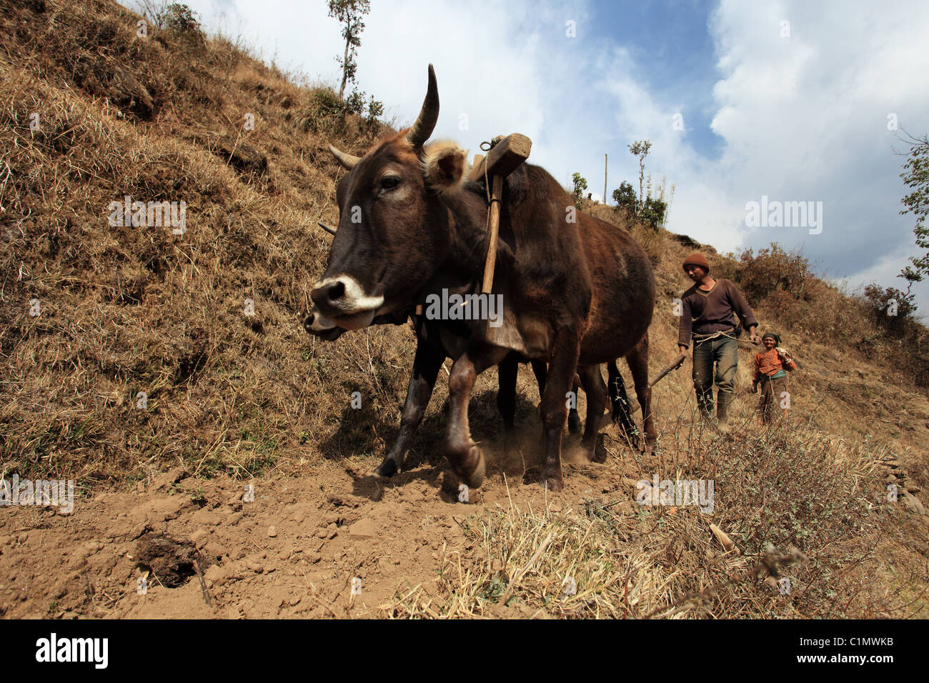 Paesaggio nepalese Nepal Himalaya Foto Stock