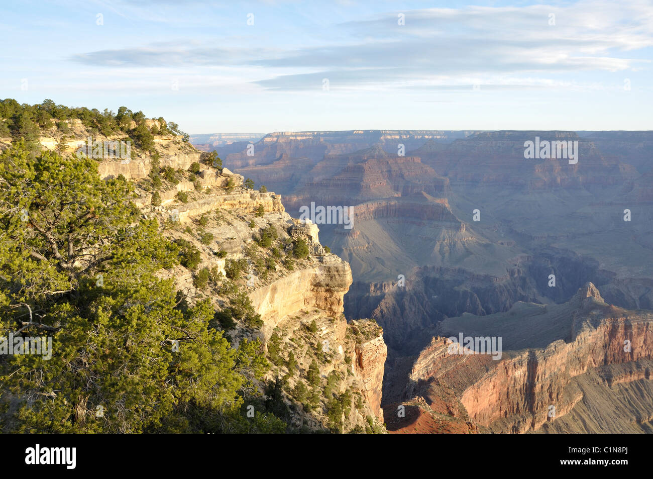 Parco Nazionale del Grand Canyon, Arizona, Stati Uniti d'America Foto Stock