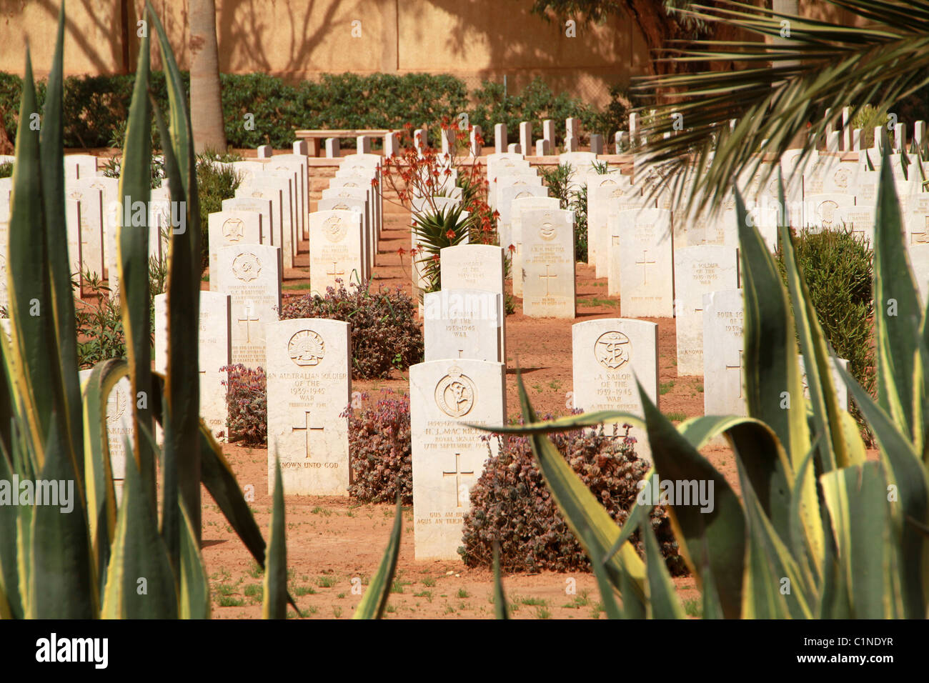 Bengasi Cimitero di Guerra, Libia Foto Stock