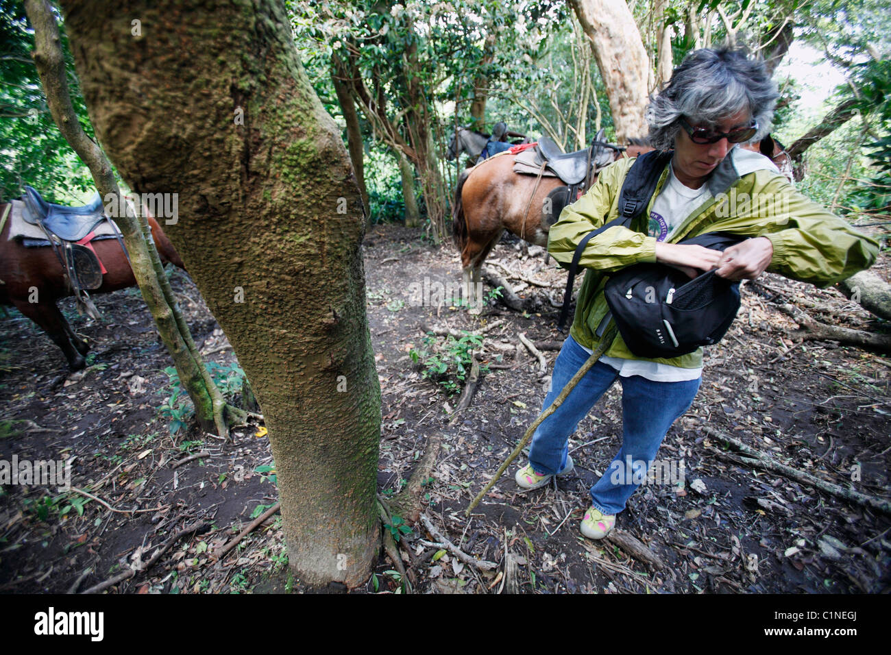 Una donna su una passeggiata a cavallo nella foresta pluviale al di sotto di Rincon de la Vieja vulcano, Guanacaste in Costa Rica Foto Stock