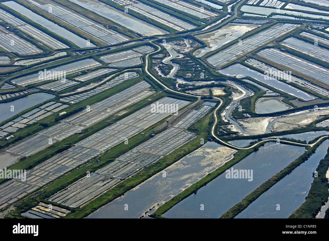 Francia, Charente Maritime, Re Isola, marsh di Le Fier d Ars (vista aerea) Foto Stock