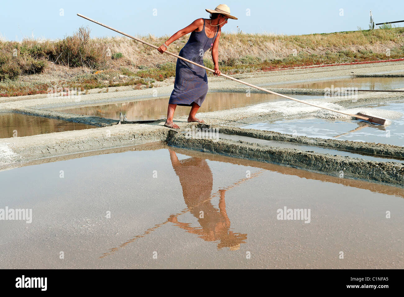 Francia, Charente Maritime, Re Isola, marsh di Le Fier d Ars, raccolta di sale in Salt Marshes Foto Stock