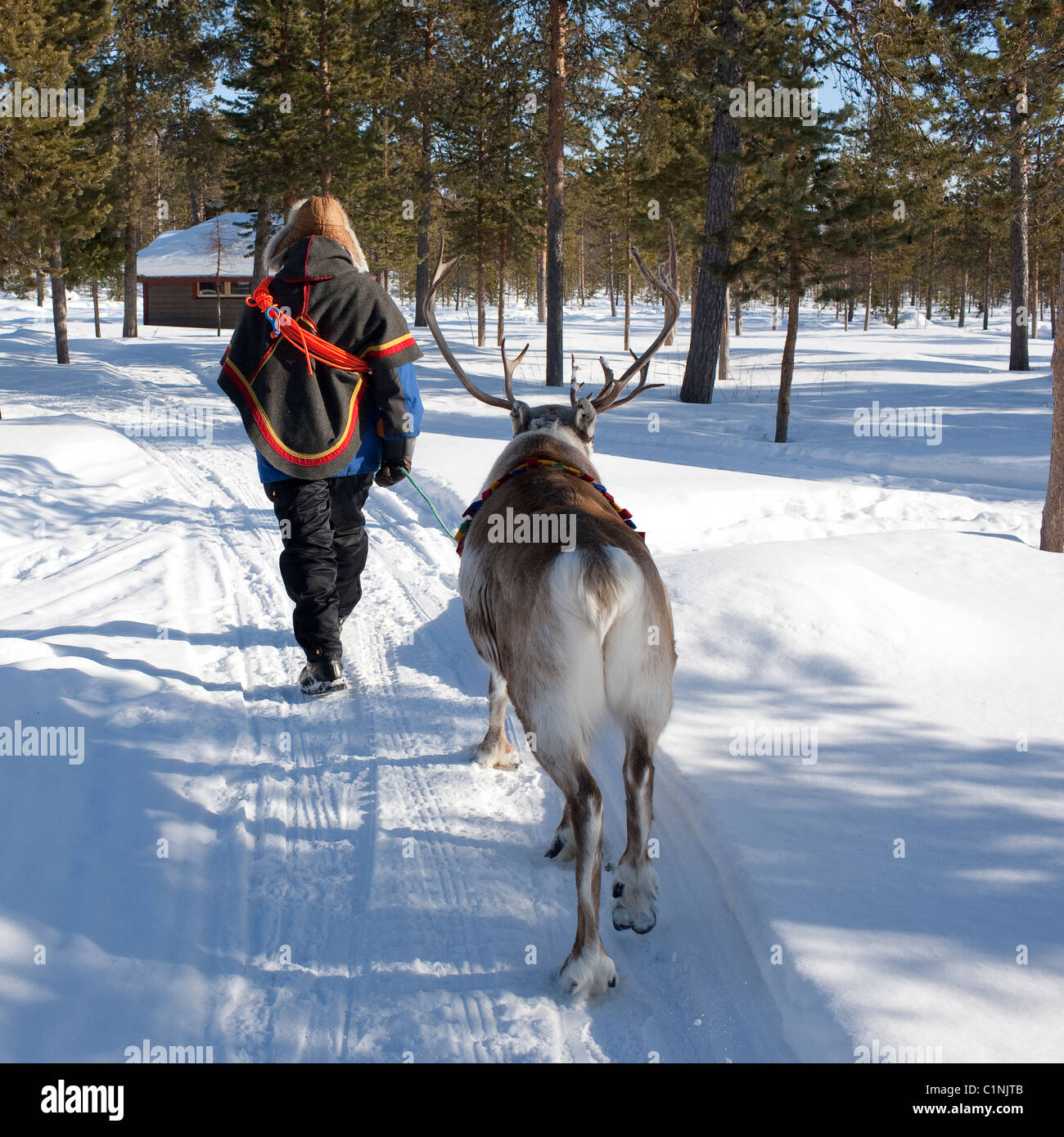 Il saami uomo con le renne in Jukkasjarvi, Svezia Foto Stock