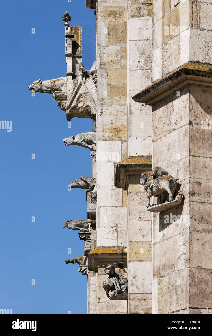 Ratisbona, Duomo di San Pietro Foto Stock