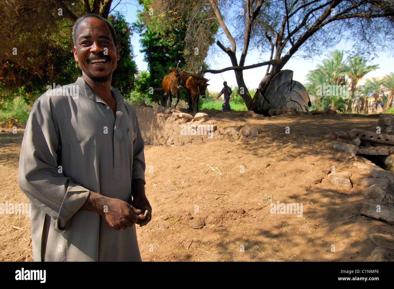 Egitto, Aswan, banca Occidentale, ben nella campagna Nubiano Foto Stock