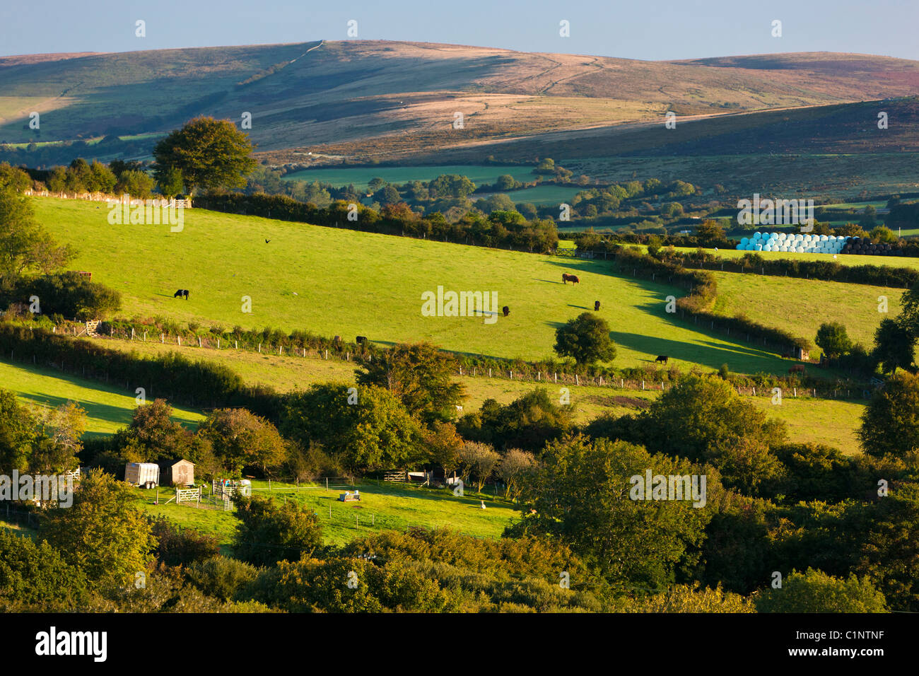 Paesaggio di rotolamento nel Parco Nazionale di Dartmoor, Foto Stock