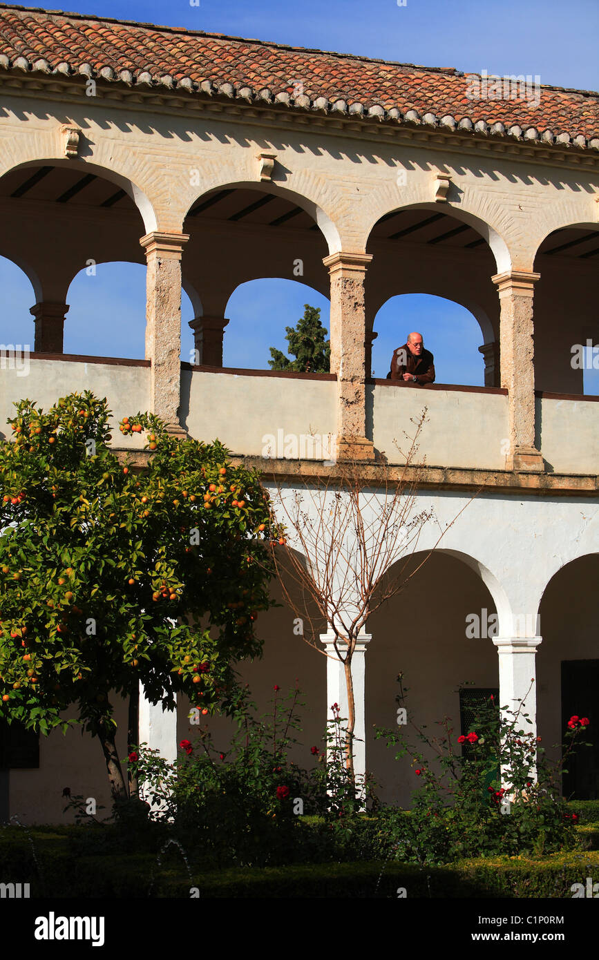 Spagna, Andalusia, Granada, Alhambra e Generalife elencati come patrimonio mondiale dall' UNESCO Foto Stock