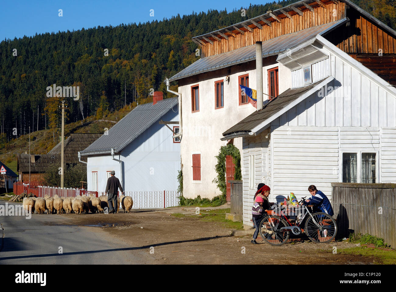 La Romania, a sud della regione di Bukovina, villaggio sulla strada principale tra Cimpulung Moldovenesc & Gura Humorului lungo il fiume Moldovita Foto Stock