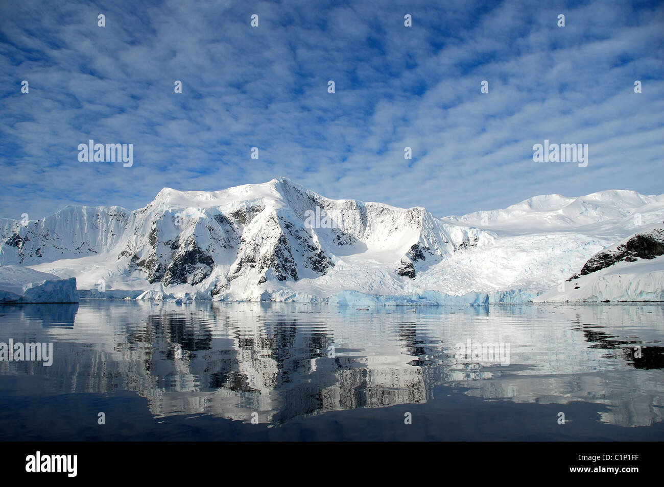 Croccante riflessi del paesaggio antartico Foto Stock