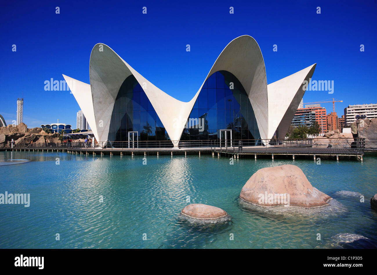 Spagna, Valencia, Città delle Arti e delle scienze dell'Architetto Santiago Calatrava, oceanografo Foto Stock