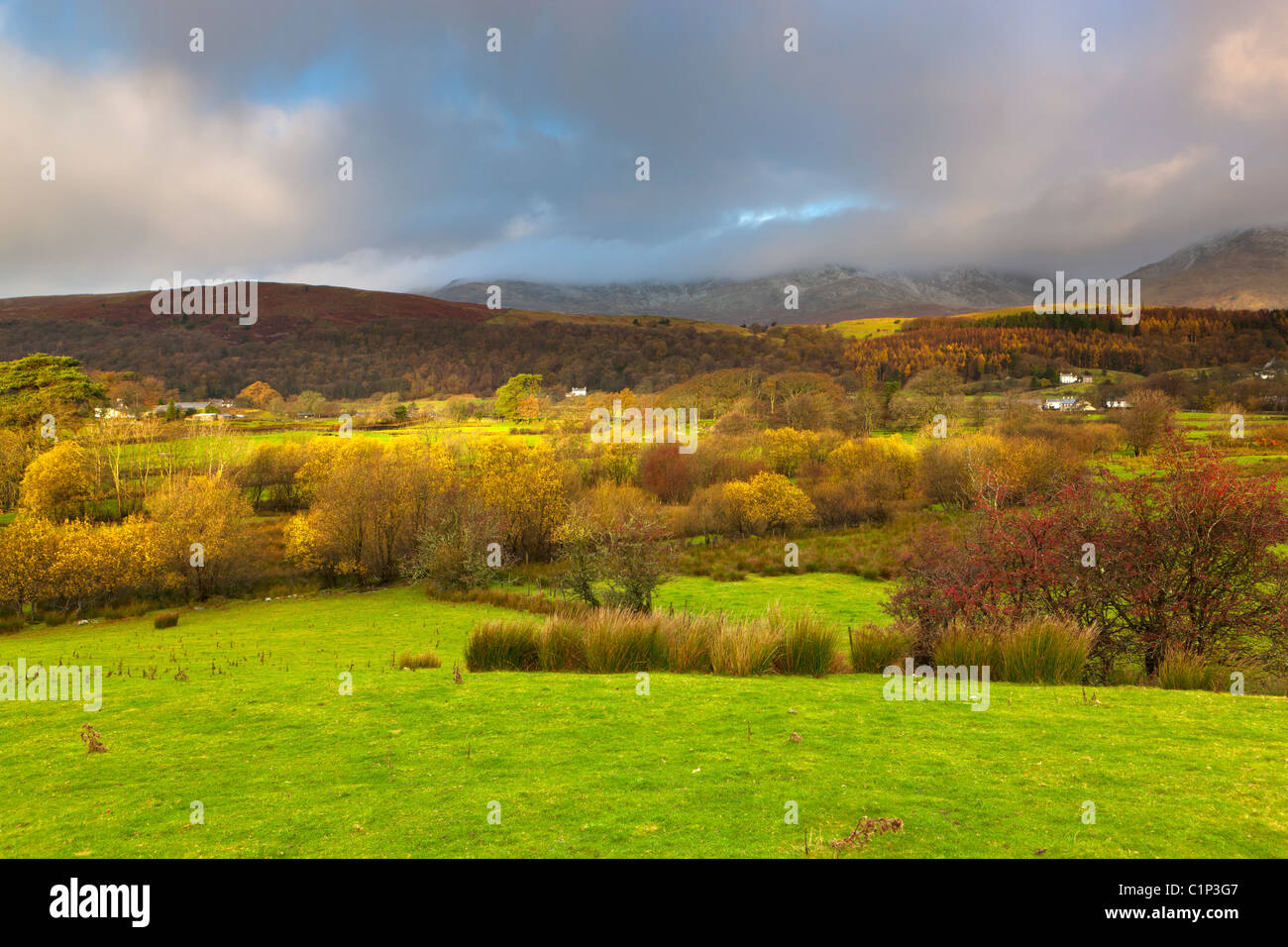 Vista da Torver verso il vecchio di Coniston, Torver, Parco Nazionale del Distretto dei Laghi, Cumbria, Inghilterra, Europa Foto Stock