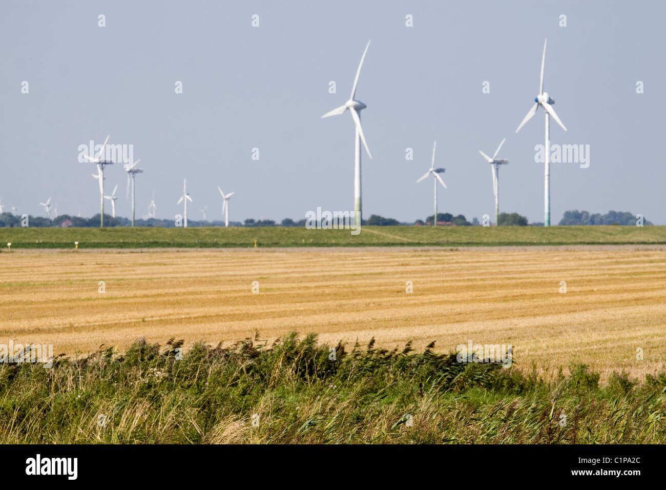 Germania, Ostfriesland, turbine eoliche sul paesaggio agricolo Foto Stock