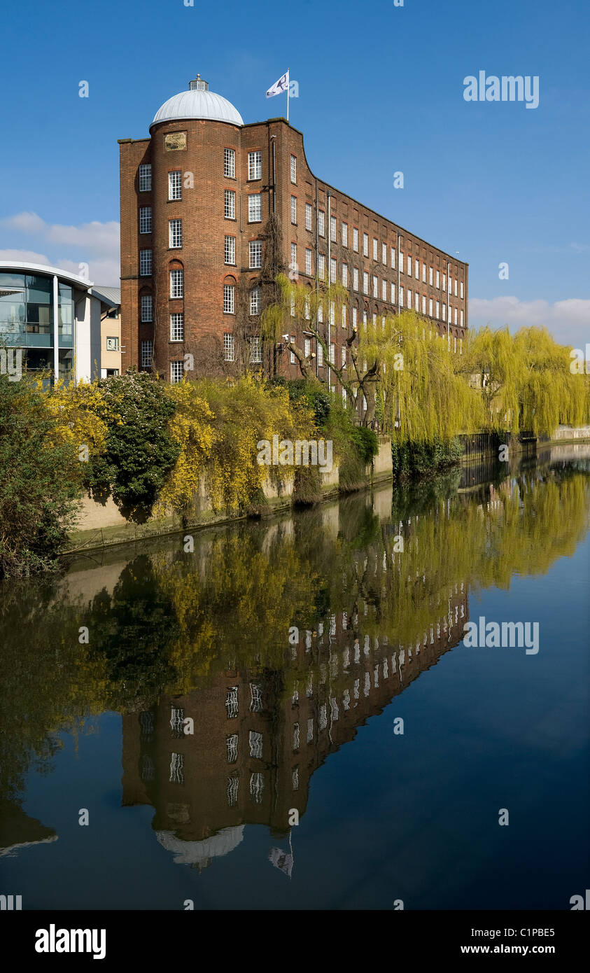 il filato, norwich, norfolk, inghilterra Foto Stock