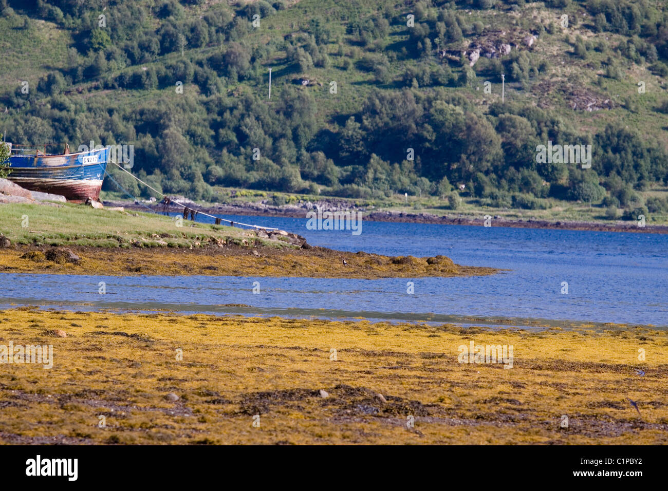 La Scozia, Strontian, la pesca in barca ormeggiata sulla battigia Foto Stock