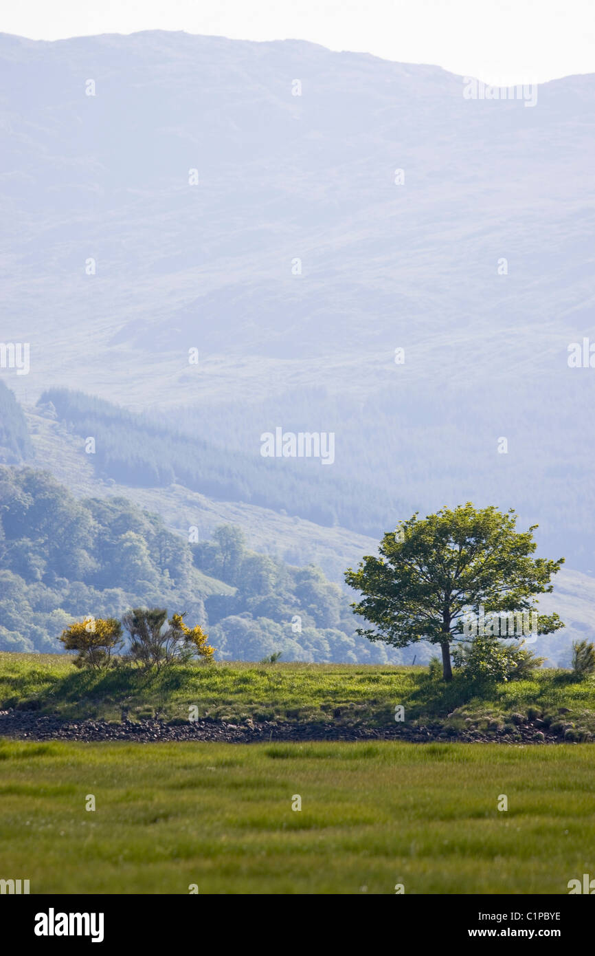 La Scozia, Strontian, campagna e montagna Foto Stock