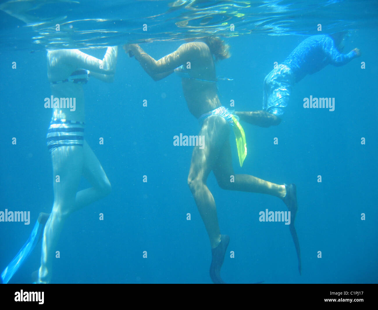 Corpi di subacquea, sia maschio che femmina adulto nuotatori, visto qui fare snorkelling nelle acque coralline delle Maldive, Oceano Indiano Foto Stock