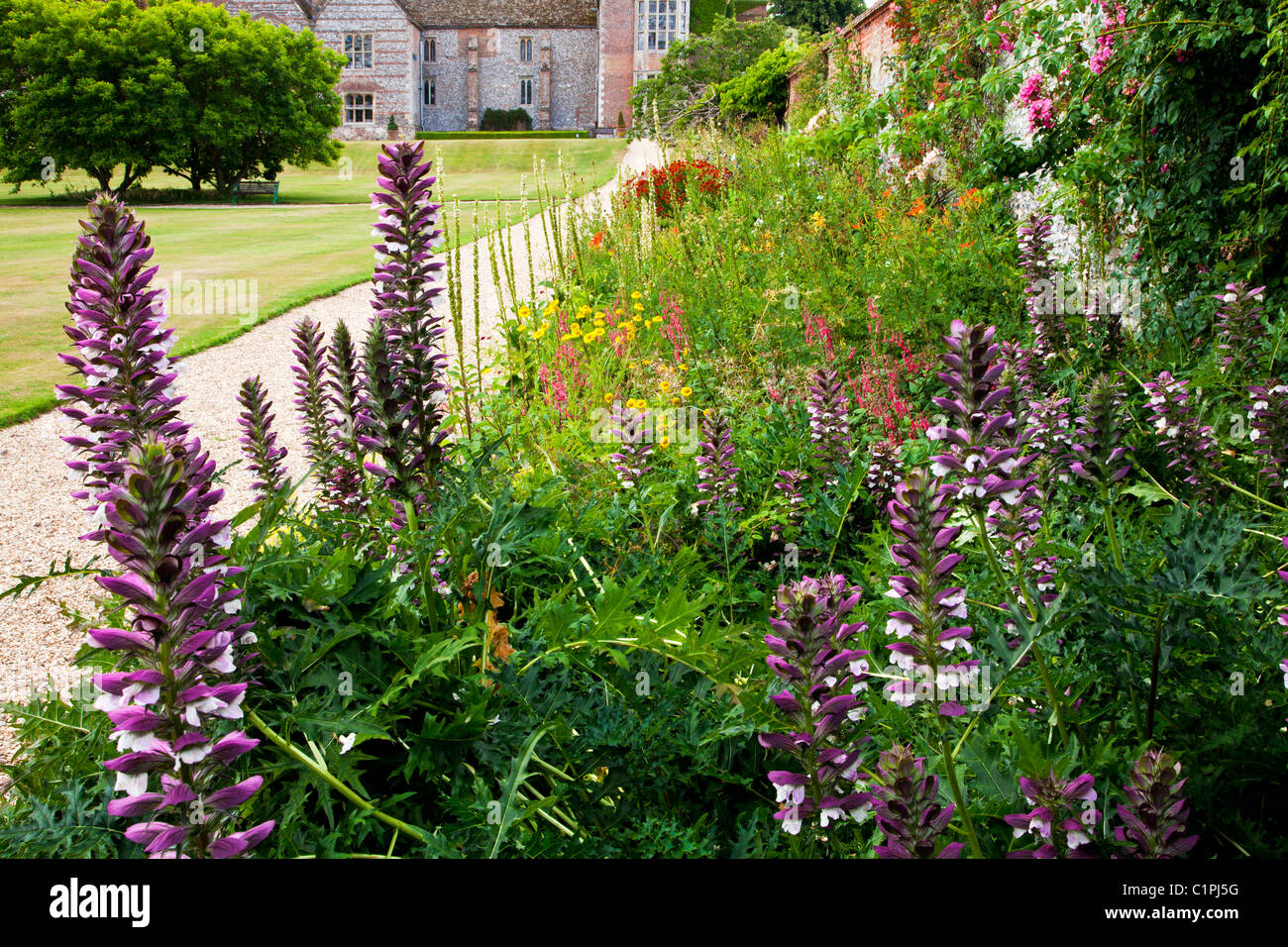 Piante erbacee perenni confine di fiori d'estate in una cinta muraria English country garden in Berkshire, Inghilterra, Regno Unito Foto Stock