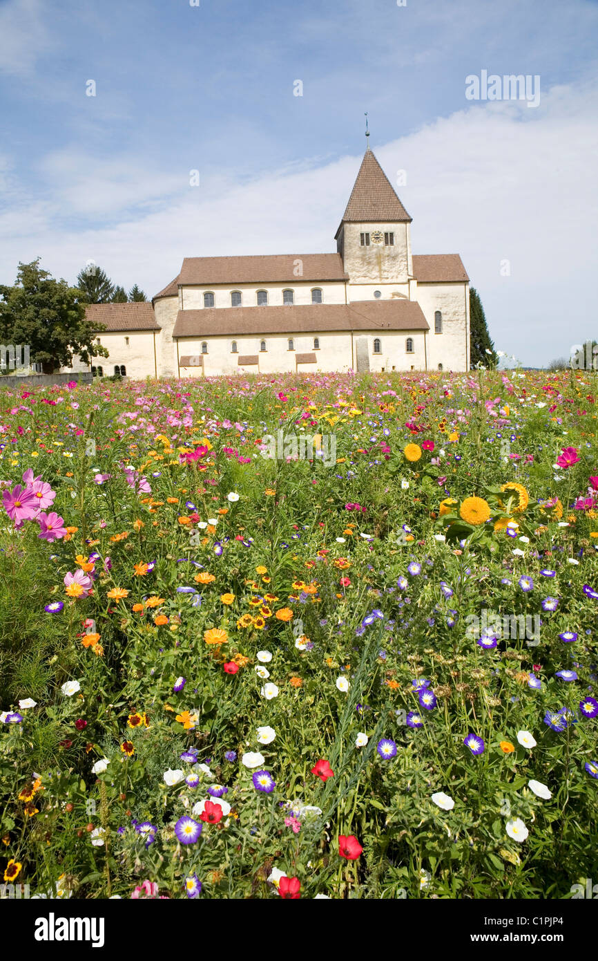 In Germania, in Baviera, Reichenau, chiesa che si affaccia su Campo di coloratissimi fiori selvatici Foto Stock