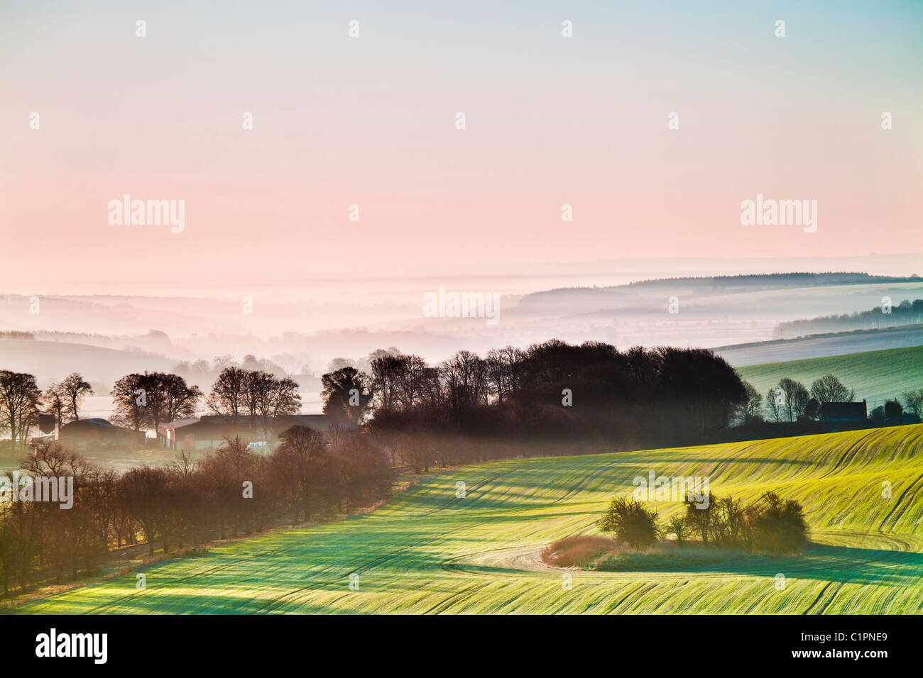 Una bella misty alba sui bassi di Marlborough, nel Wiltshire, Inghilterra, Regno Unito Foto Stock